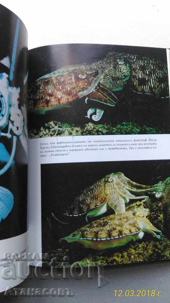 The Underwater World Hans Hass - 5 The Underwater World Hans Hass - 5