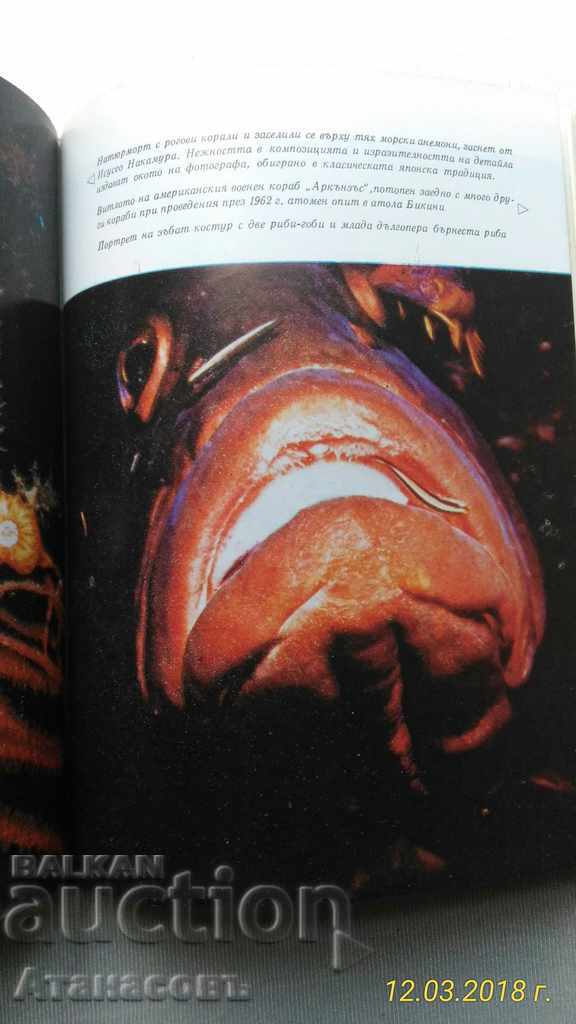 The Underwater World Hans Hass - 6 The Underwater World Hans Hass - 6