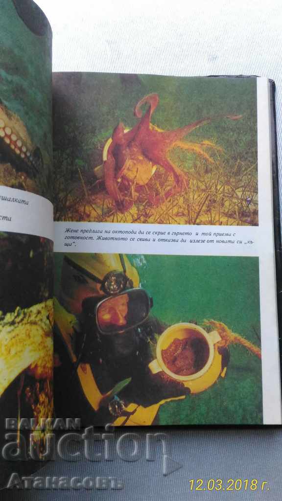 Livrarea Caracatițe Jean Yves Cousteau, Philippe diol Livrarea Caracatițe Jean Yves Cousteau, Philippe diol