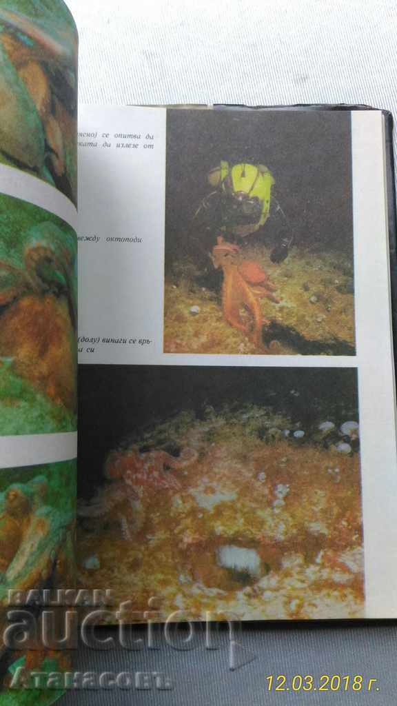 Caracatițe Jean Yves Cousteau, Philippe diol - 6 Caracatițe Jean Yves Cousteau, Philippe diol - 6