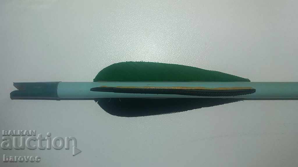 Delivery of Archery Arrows Arms Delivery of Archery Arrows Arms