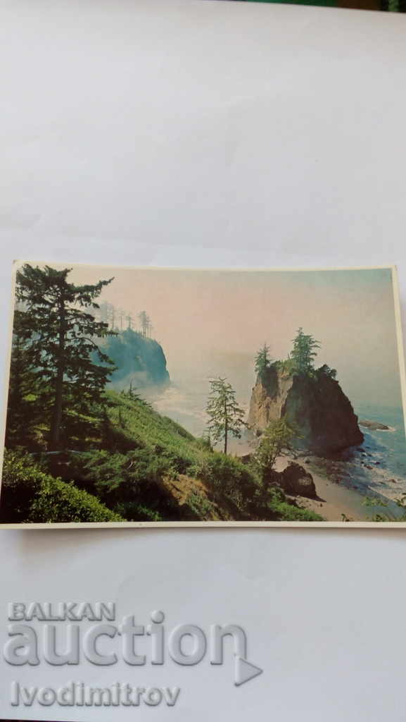 Postcard Clearing Fog