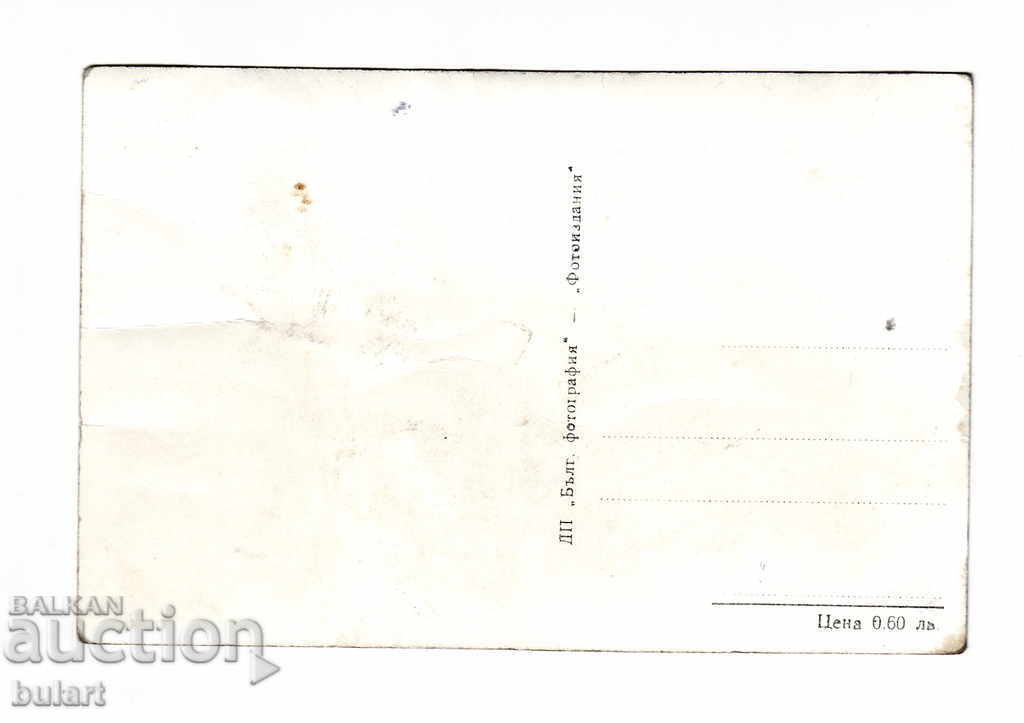 Postcard Danube at Vidin PK with price 8.00 BGN | € 4.09 Postcard Danube at Vidin PK with price 8.00 BGN | € 4.09