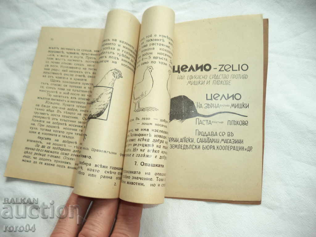 SELECTION OF NUCLEY COCOXY - STEFAN KUMANOV - 1930 - 6