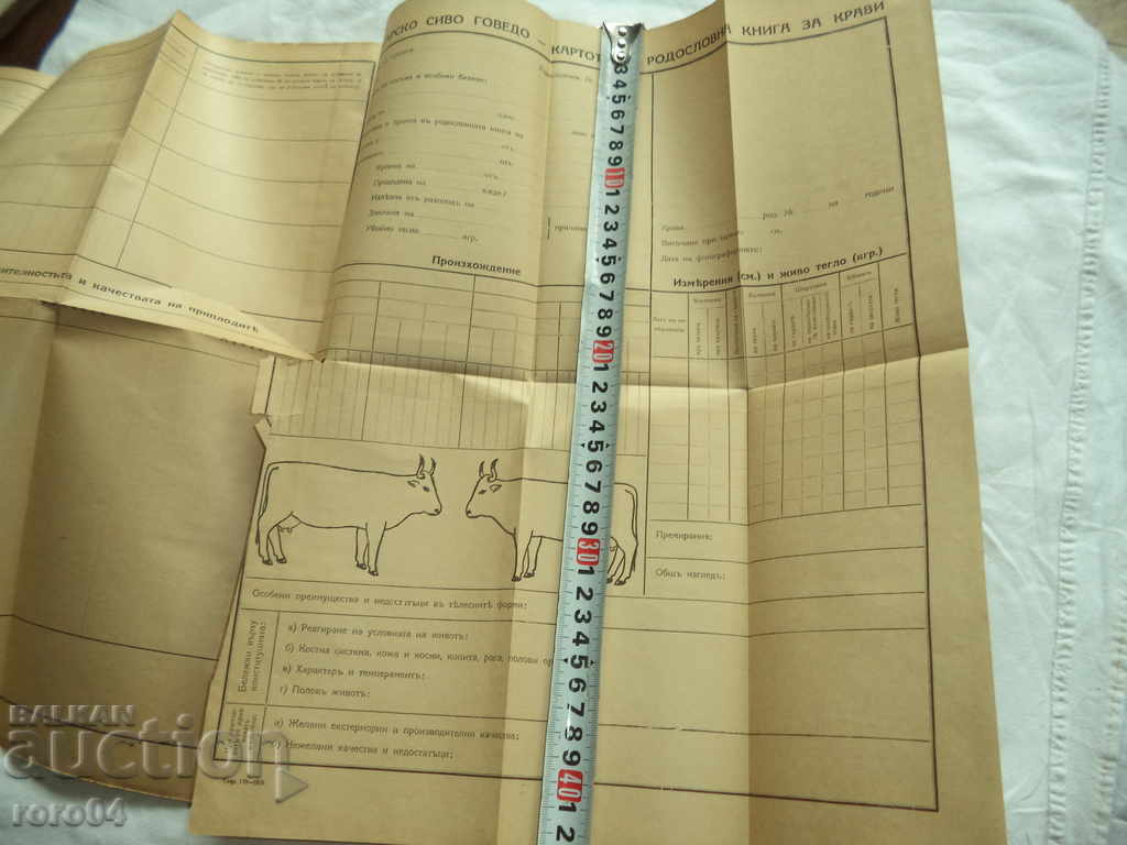 DEVELOPMENT OF THE GOVEDO - NIKOLA PATITIKANOV - 1936 RRR - 6 DEVELOPMENT OF THE GOVEDO - NIKOLA PATITIKANOV - 1936 RRR - 6