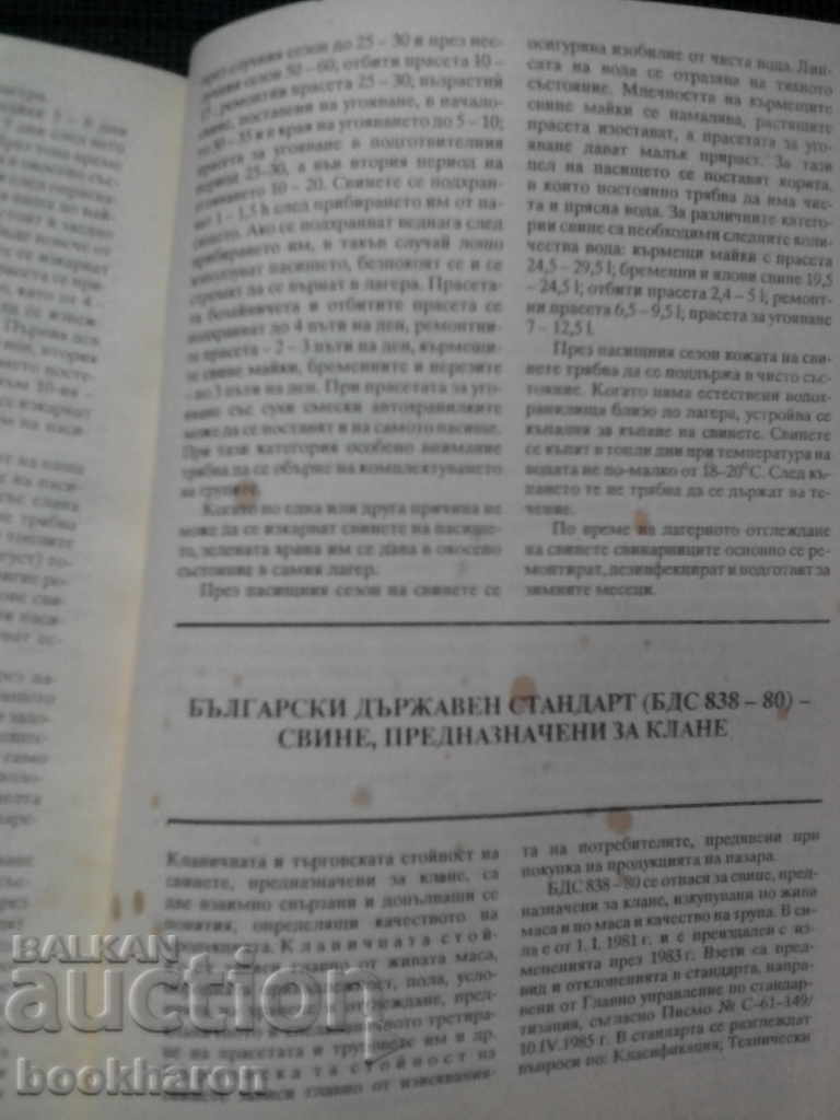 Pigs with price 9.00 BGN | € 4.60 Pigs with price 9.00 BGN | € 4.60