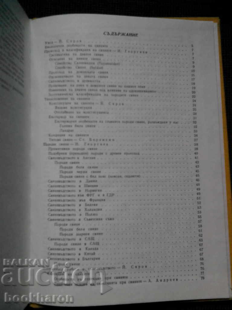 Auction Pigs Auction Pigs