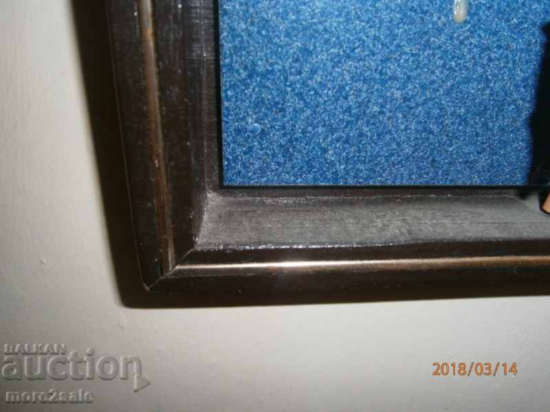 Picture - ART PANO - FLOWER IN WALL FRAME - 6 Picture - ART PANO - FLOWER IN WALL FRAME - 6