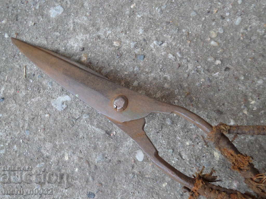 Old manual forged scissors - 7 Old manual forged scissors - 7