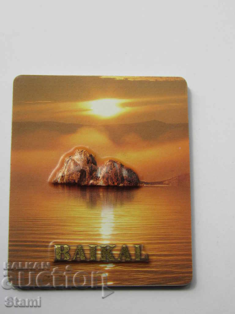 Auction Authentic magnet from Lake Baikal, Russia-series-4 Auction Authentic magnet from Lake Baikal, Russia-series-4