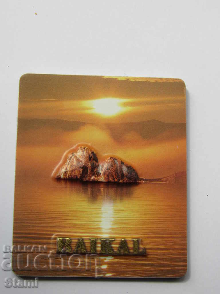 Authentic magnet from Lake Baikal, Russia-series-4