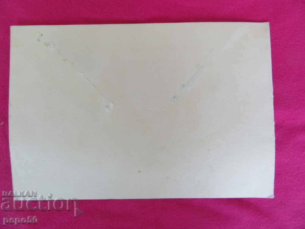 Auction BEAUTIFUL SPRING BULGARIAN CARD - 1966 Auction BEAUTIFUL SPRING BULGARIAN CARD - 1966