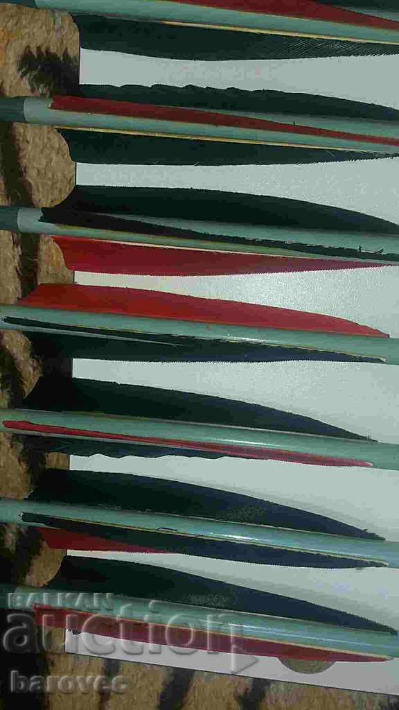 Delivery of Archery Arrows Arms Delivery of Archery Arrows Arms