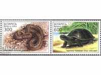 Чисти марки Фауна Костенурка Змия 2003 от Беларус
