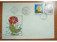 19531 FDC Enlargement envelope Cactus 1980г.