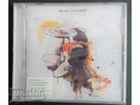 SD -PETER DOHERTY - Grace / Wastelands (Full Album) -MUSIC