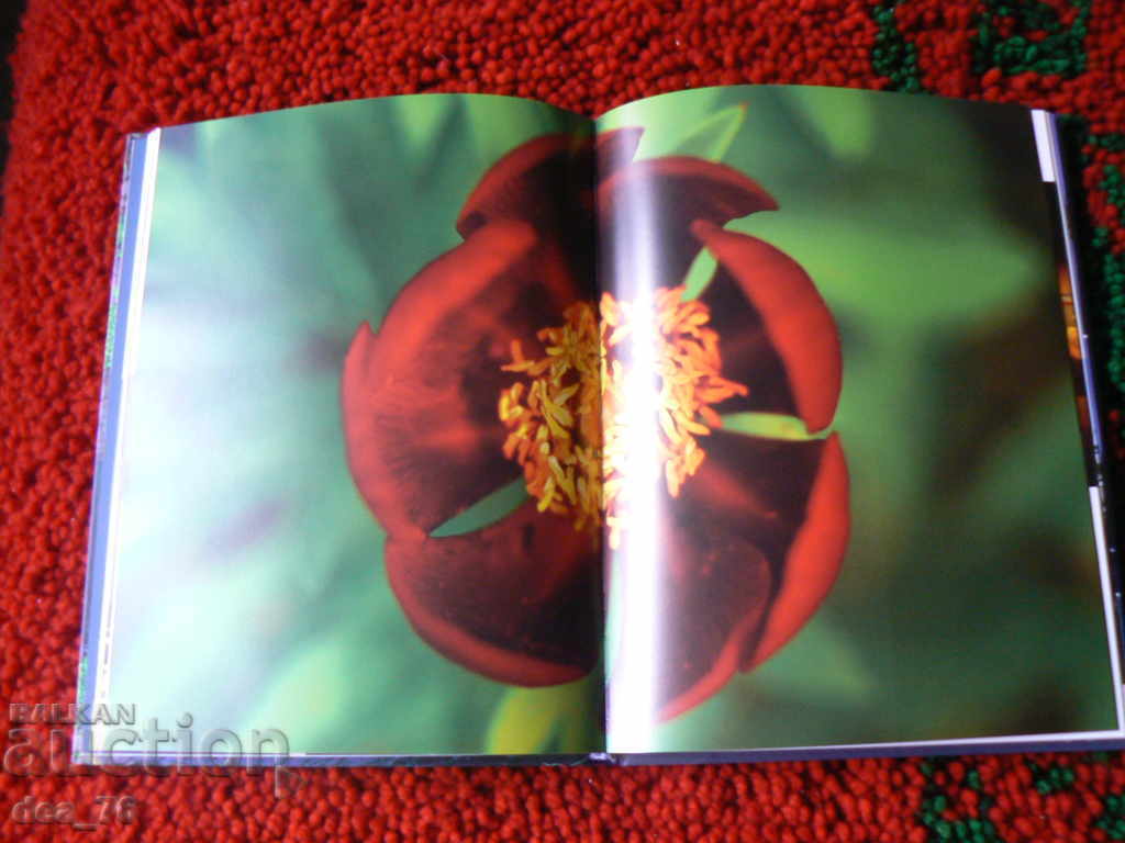 Auction Directory Greece Auction Directory Greece