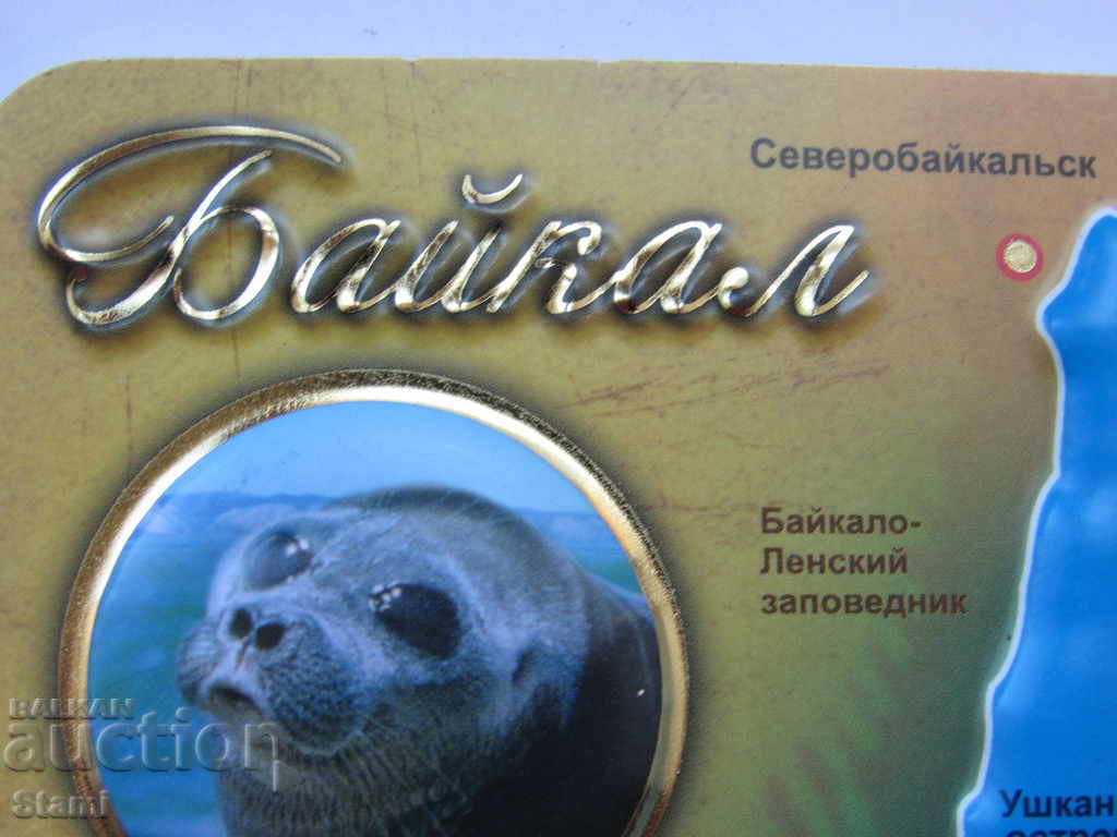 Authentic 3D magnet from Lake Baikal, Russia-series-1 with price 11.20 BGN | € 5.73 Authentic 3D magnet from Lake Baikal, Russia-series-1 with price 11.20 BGN | € 5.73