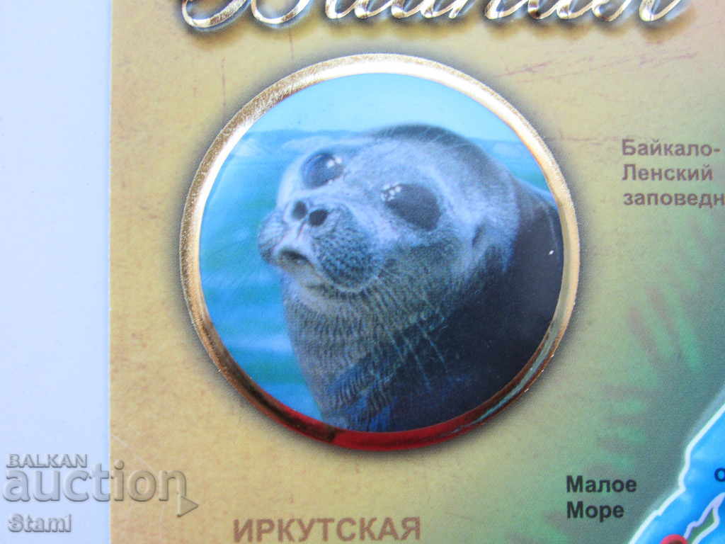 Auction Authentic 3D magnet from Lake Baikal, Russia-series-1 Auction Authentic 3D magnet from Lake Baikal, Russia-series-1