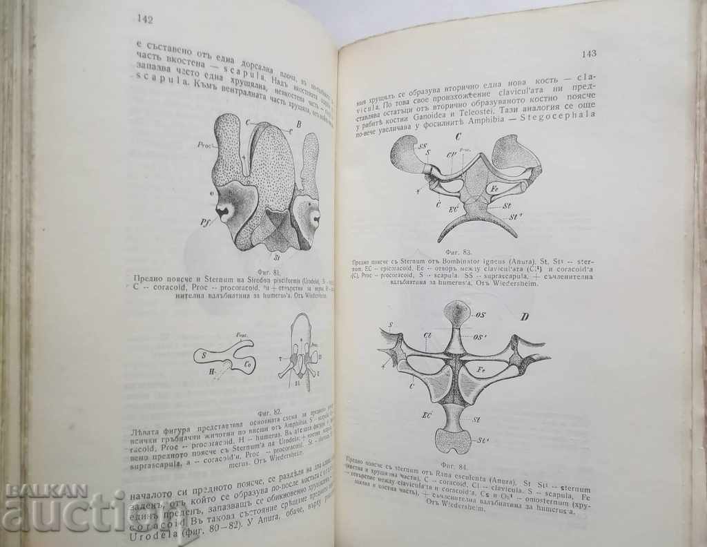Delivery of Comparative Anatomy of Vertebrates M. Popov 1933 Delivery of Comparative Anatomy of Vertebrates M. Popov 1933
