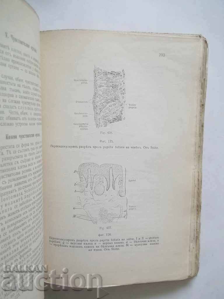 Comparative Anatomy of Vertebrates M. Popov 1933 - 5 Comparative Anatomy of Vertebrates M. Popov 1933 - 5