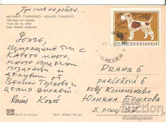 Картичка България В.Търново View 16 * with price 0.90 BGN | € 0.46