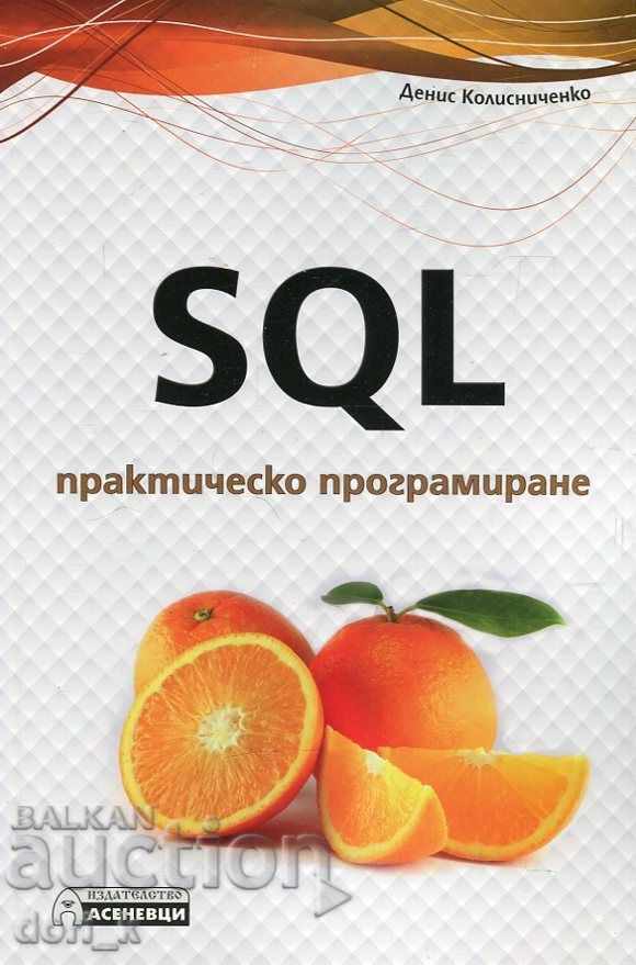 Programarea practică SQL