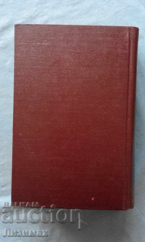 Аукцион Польско-руский словарь - М. Ф. Розвадовский