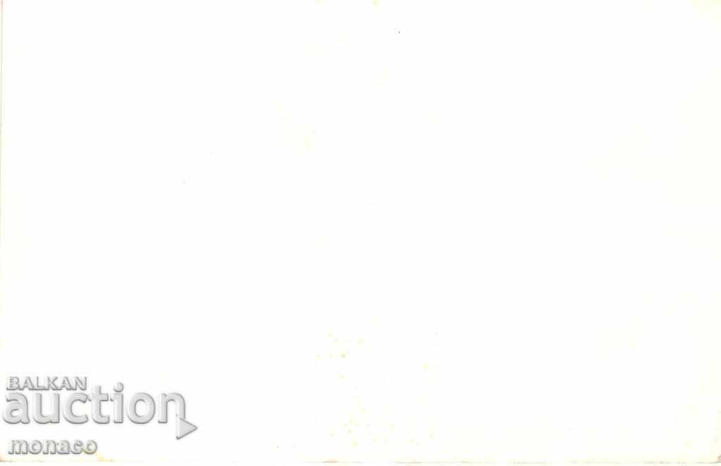 Καρτ ποστάλ - Dobrinishte, Χαιρετισμοί - μίγμα με τιμή 2.00 BGN | € 1.02 Καρτ ποστάλ - Dobrinishte, Χαιρετισμοί - μίγμα με τιμή 2.00 BGN | € 1.02