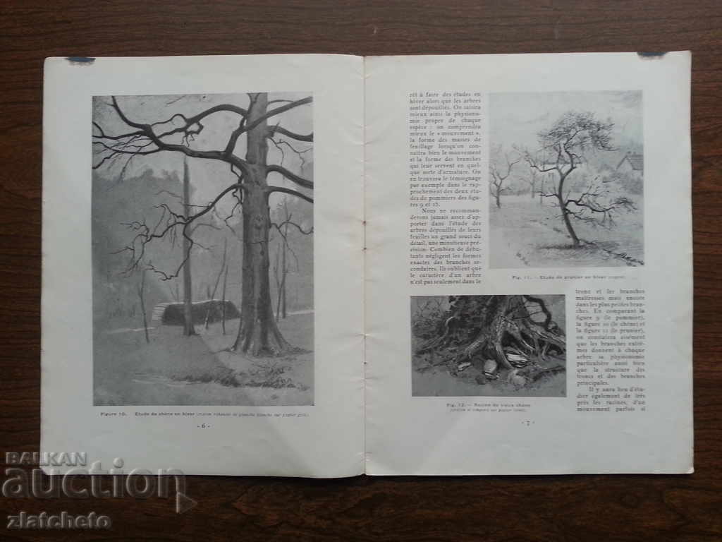 Auction French language course Auction French language course