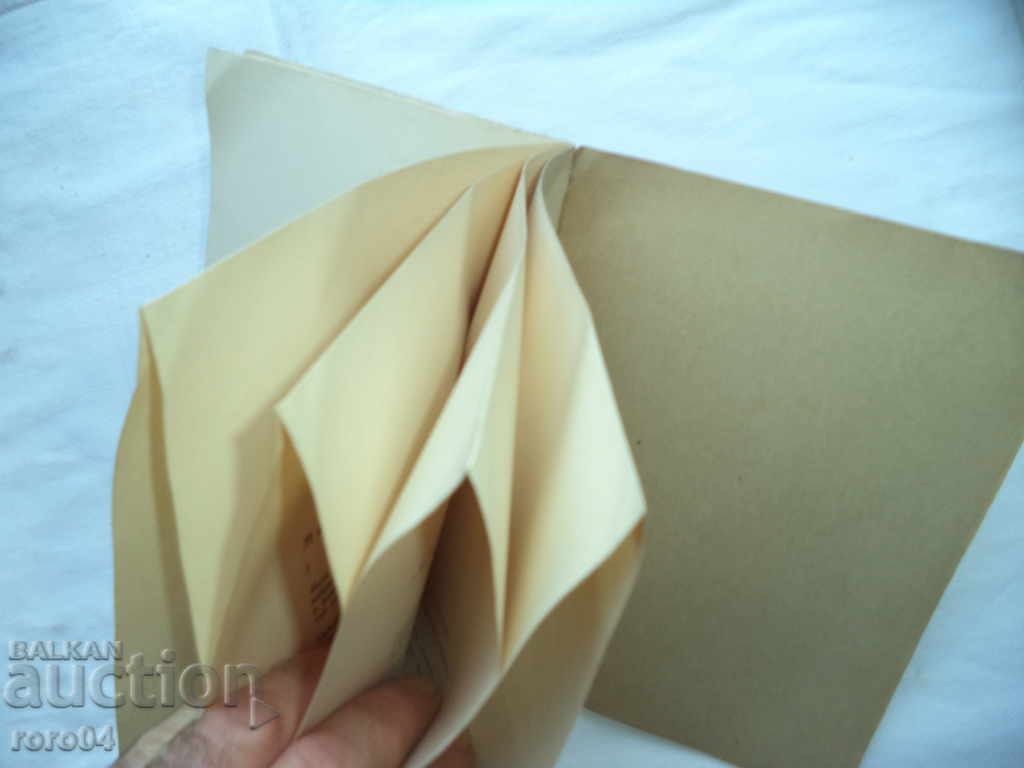 LEO COHEN - PAGES - 1928 CIRCULATION OF 100 ISSUES - RRR - 5 LEO COHEN - PAGES - 1928 CIRCULATION OF 100 ISSUES - RRR - 5