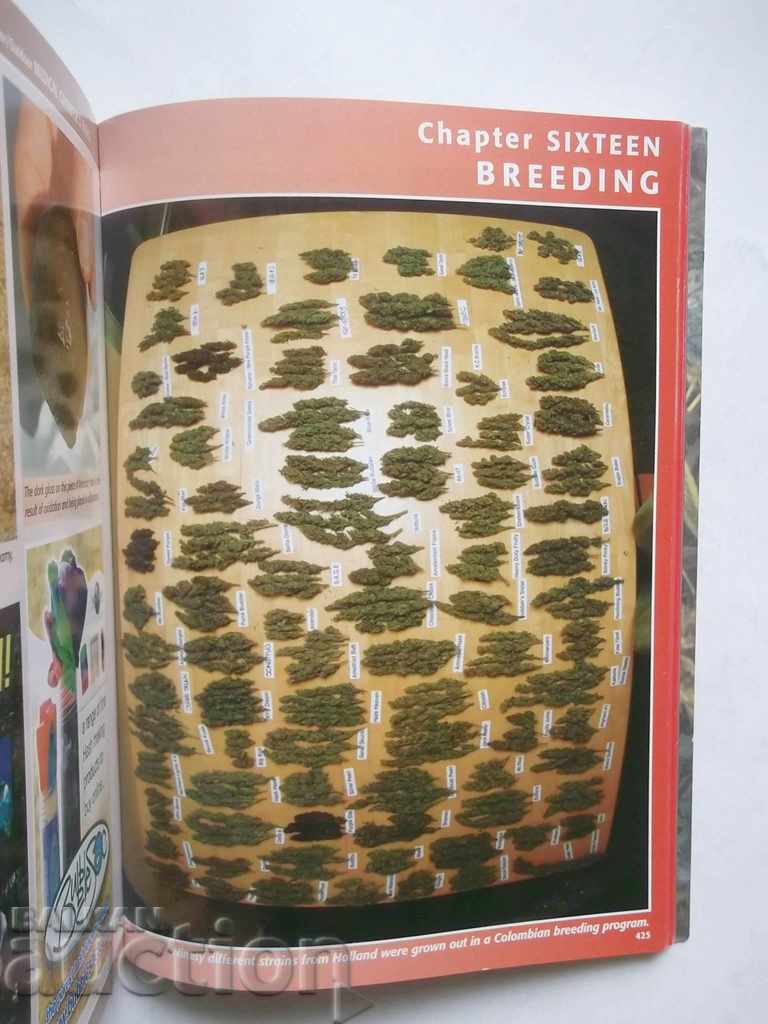 Delivery of Marijuana Horticulture - Jorge Cervantes 2006 Marijuana Delivery of Marijuana Horticulture - Jorge Cervantes 2006 Marijuana