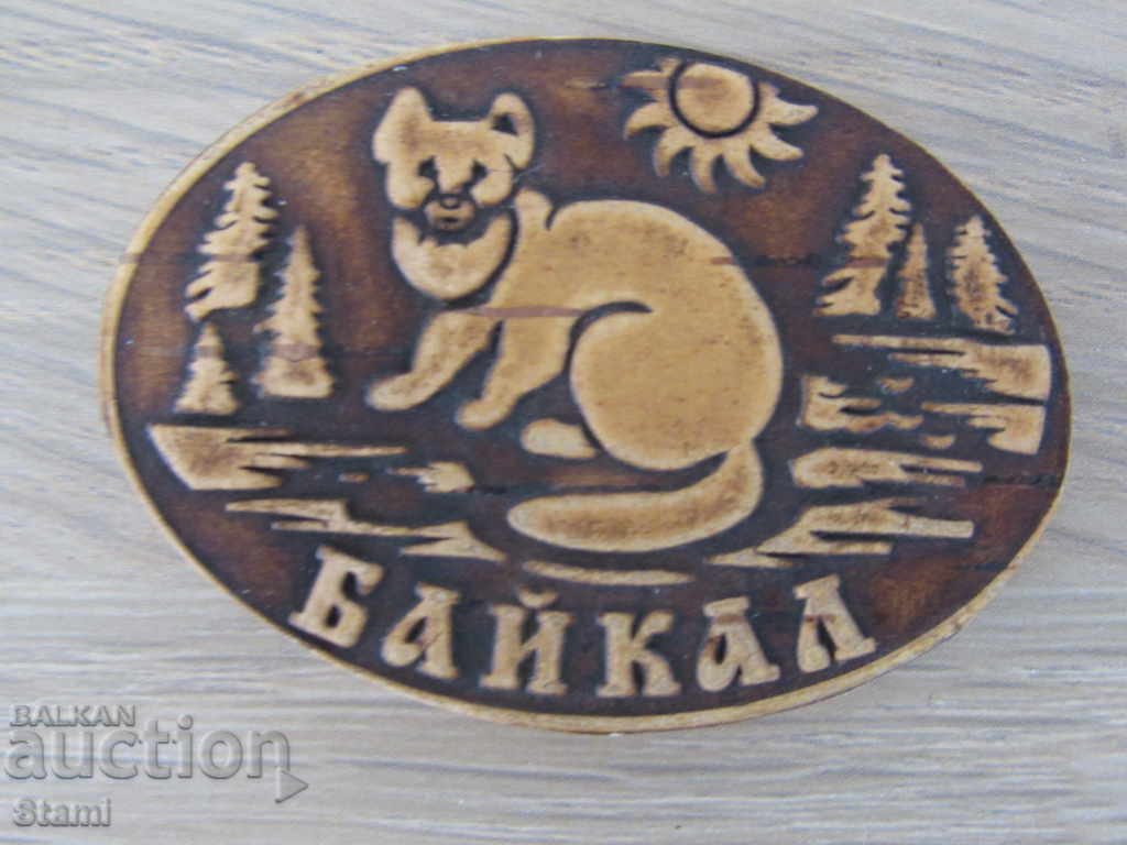 Magnet autentic Birch Lacul Baikal, Rusia-seria-9