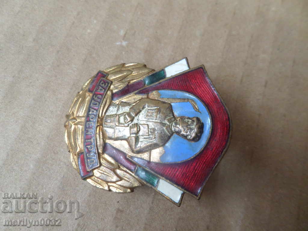 Армейска значка нагръден знак награда емайл БНА НРБ медал - 5
