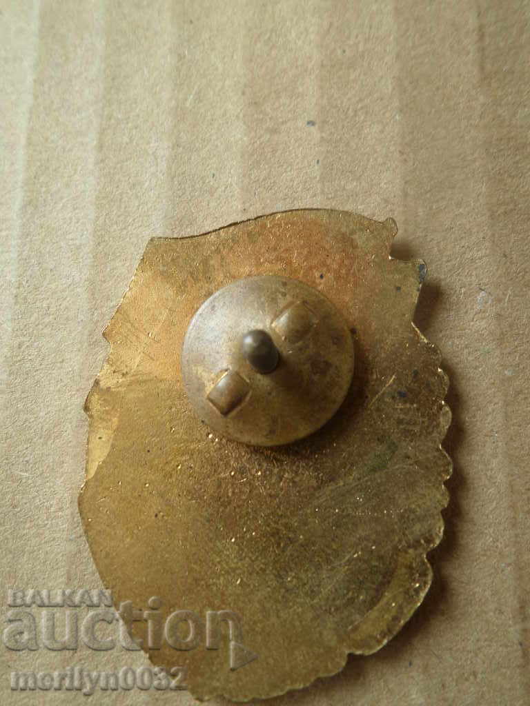 Army Badge Embroidery Sign Prize Enam BNA WRB Medal with price 44.00 BGN | € 22.50 Army Badge Embroidery Sign Prize Enam BNA WRB Medal with price 44.00 BGN | € 22.50