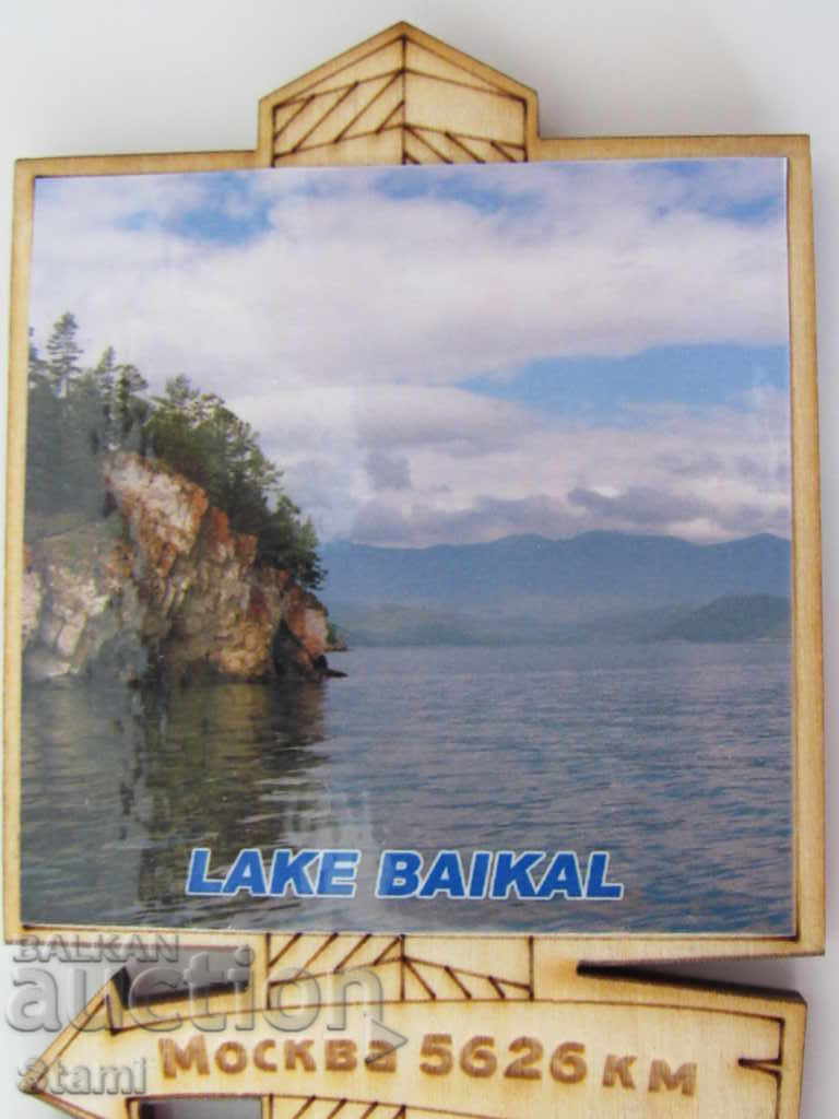 Auction Authentic magnet from Lake Baikal, Russia-series-3 Auction Authentic magnet from Lake Baikal, Russia-series-3