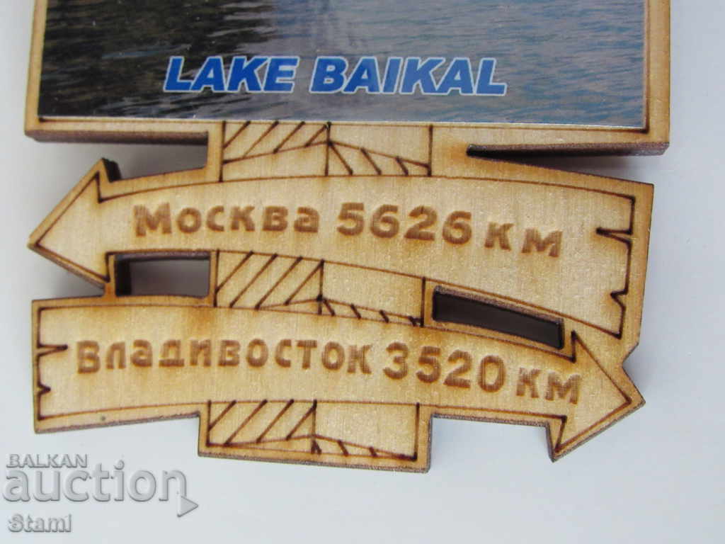 Authentic magnet from Lake Baikal, Russia-series-3 - 7 Authentic magnet from Lake Baikal, Russia-series-3 - 7