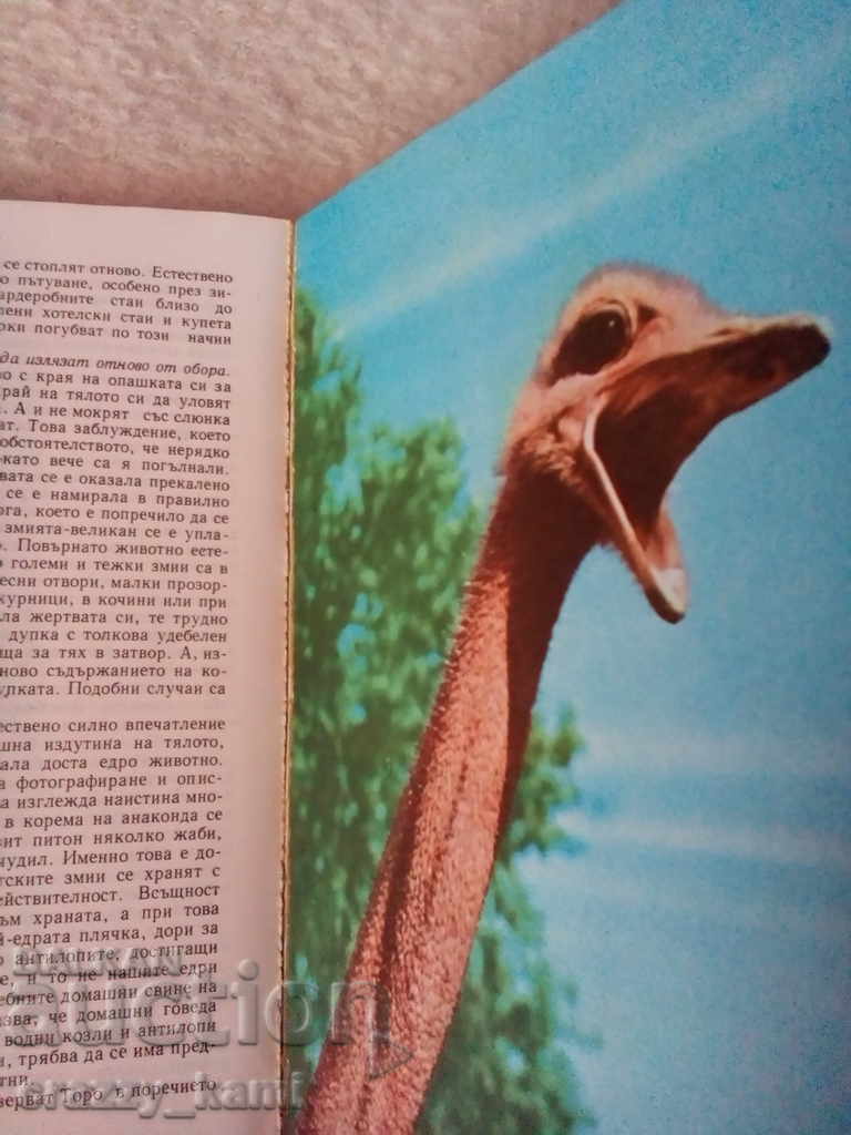 Bernhard Gimek Among the Animals of Africa with price 1.50 BGN | € 0.77