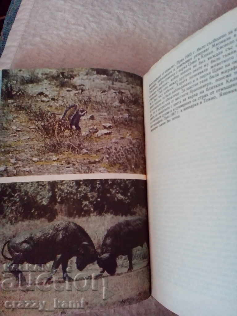 Delivery of Bernhard Gimek Among the Animals of Africa