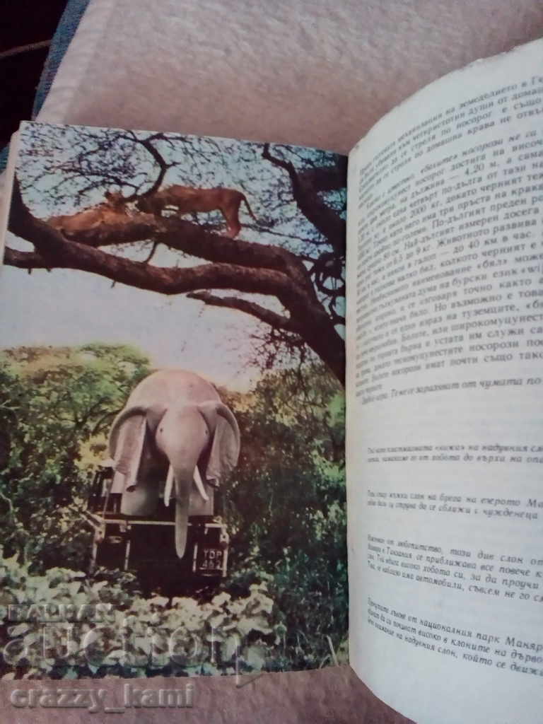 Bernhard Gimek Among the Animals of Africa - 6