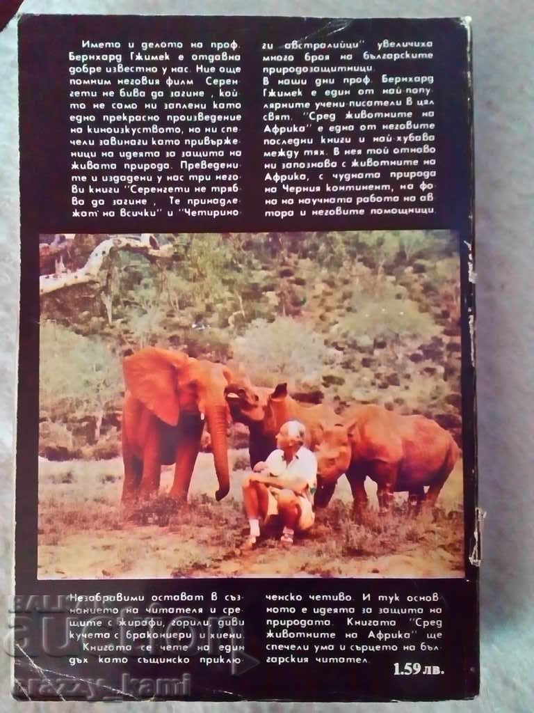 Bernhard Gimek Among the Animals of Africa - 7