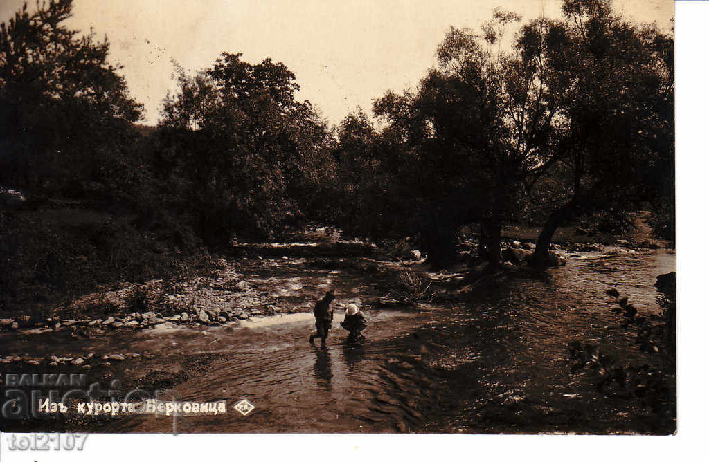 1931 България, сред курорта Берковица - Пасков