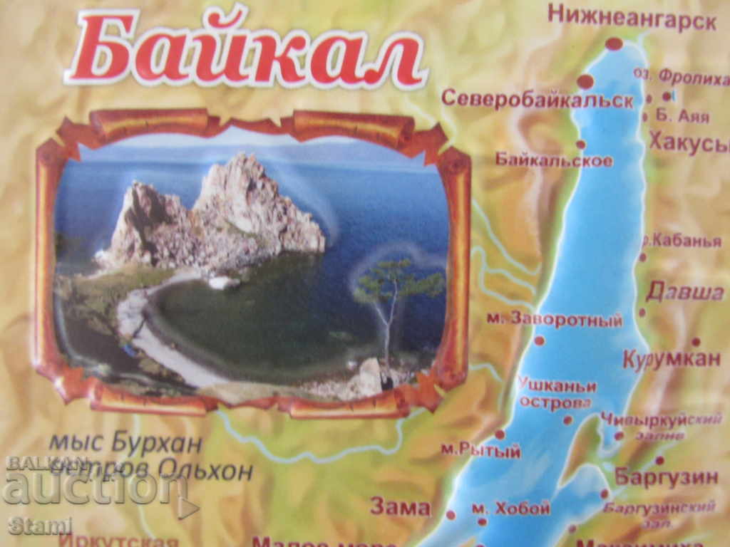 Auction Authentic 3D magnet from Lake Baikal, Russia-19 series Auction Authentic 3D magnet from Lake Baikal, Russia-19 series