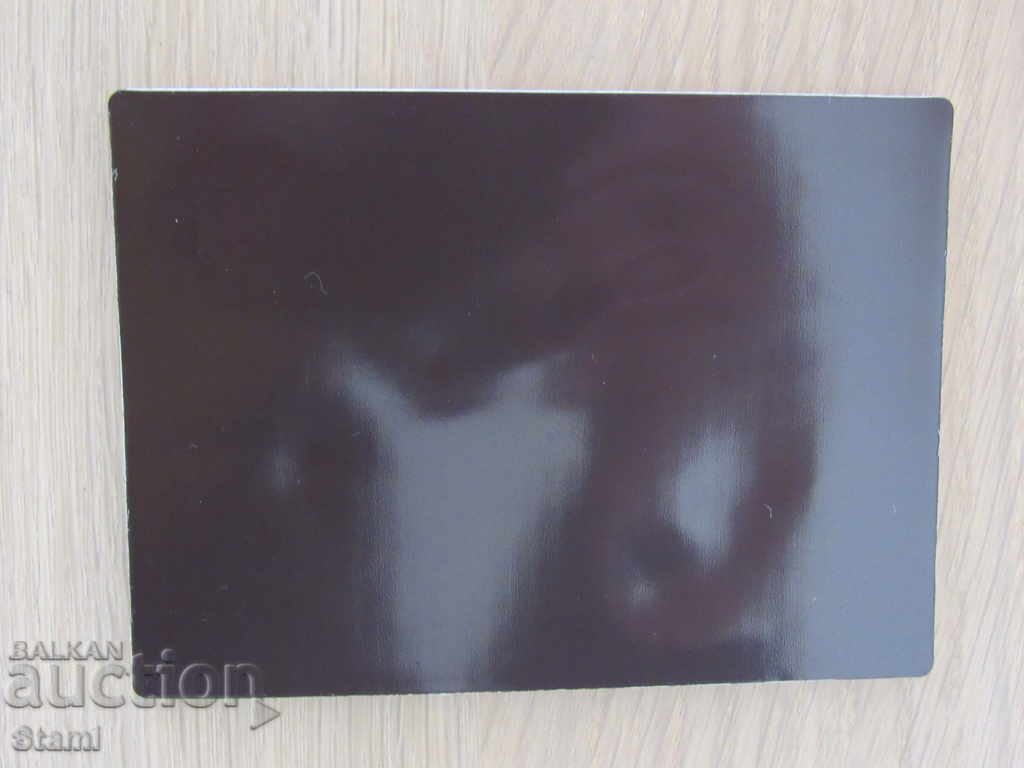 Authentic 3D magnet from Lake Baikal, Russia-19 series - 7 Authentic 3D magnet from Lake Baikal, Russia-19 series - 7