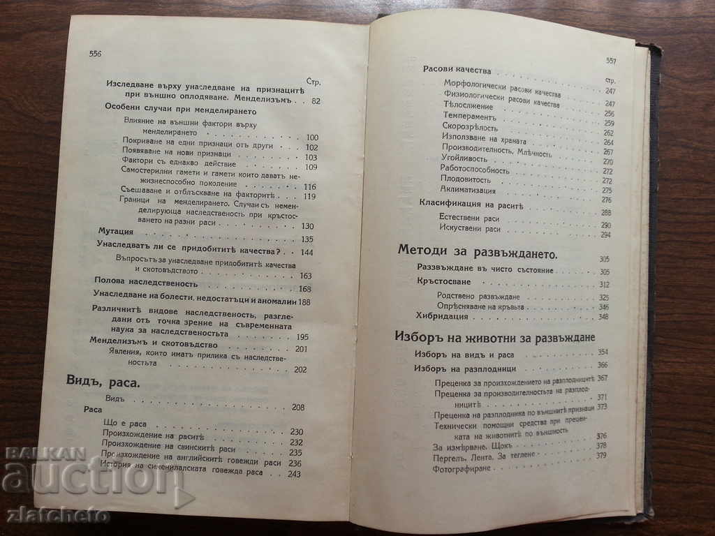 Total cattle breeding. Zhelyu Ganchev - 5 Total cattle breeding. Zhelyu Ganchev - 5