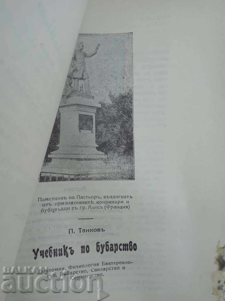 Auction  Bullfighting. P. Tankov