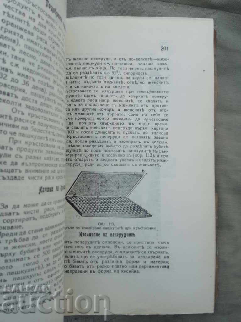 Delivery of Bullfighting. P. Tankov