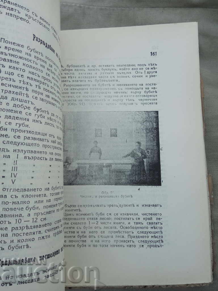 Bullfighting. P. Tankov - 5