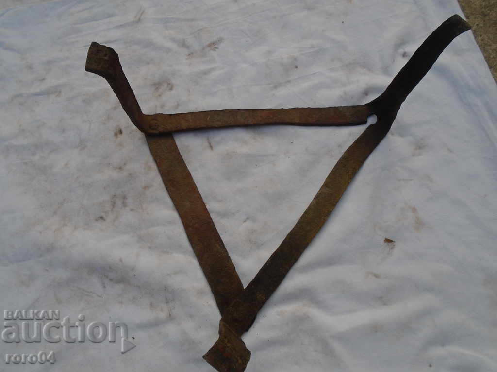 Delivery of STAR HORSES PICTURES Delivery of STAR HORSES PICTURES