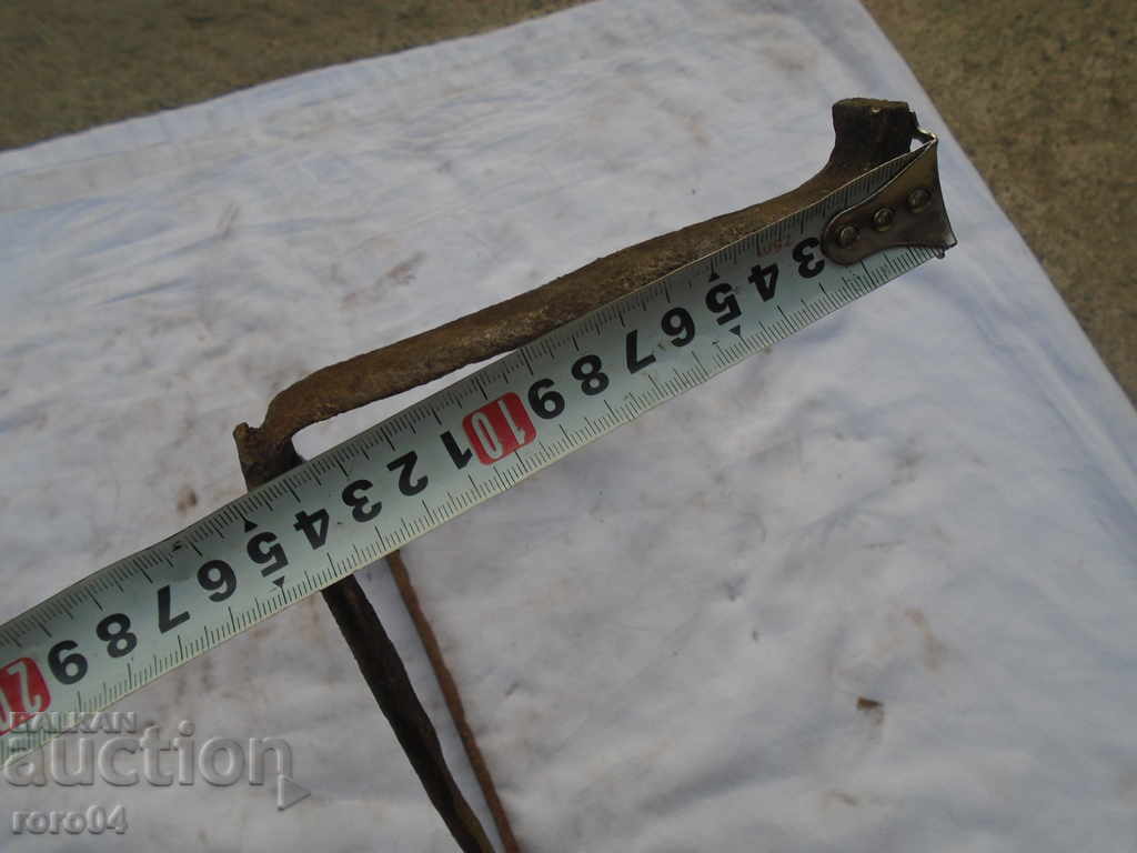 STAR HORSES PICTURES - 6 STAR HORSES PICTURES - 6